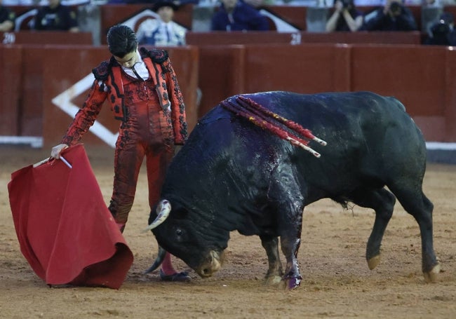 Derechazo de Marco Pérez a Volador, el sexto toro de García Jiménez al que le cortó las dos orejas en La Glorieta el pasado 19 de septiembre